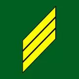 49th Sergeant