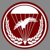 6. brygada powietrznodesantowa