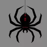 black widow
