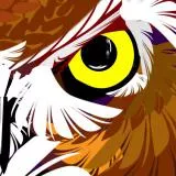 OWL SUBLIME (check my profile)