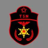TSN エンブレム