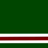 Chechen Republic of Ichkeria (BIG)