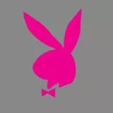 PlayBoy Emblem  pink rabbit 