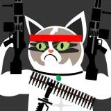 rambo angry cat