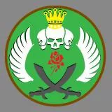 Special Expeditionary Force