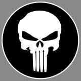 Punisher Pin
