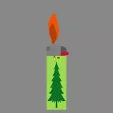 Fire Starter (bic lighter)