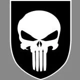 the punisher arm patch