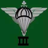 3 para 