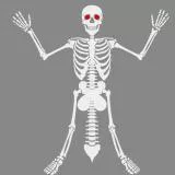 Esqueleto dotado