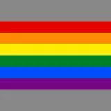 Rainbow/GLBT Flag