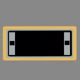 Chief Warrent Officer (CW1) shoulder boards