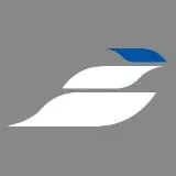 Epsilon eSports High look logo