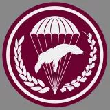 6 Brygada Powietrznodesantowa