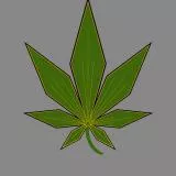 Weed