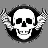 skull badge