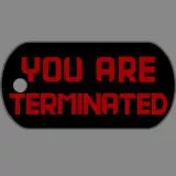 You are terminated