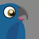 Blue Parrot