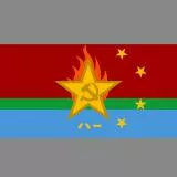 Chinese People's Army