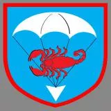 abzeichen fschjgbtl. 263