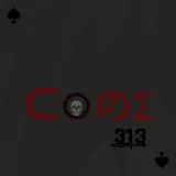 Code 313