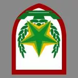 Escutcheon with Stars