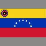 Venezuela Battlefield Flag